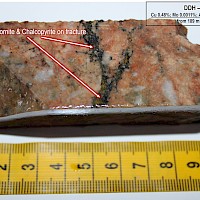 2DH-121 BO CP On Fracture